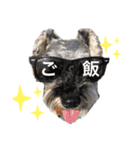 Qooちゃんスタンプップ（個別スタンプ：5）