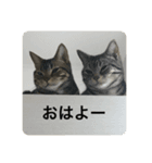 にゃんごろスタンプ（個別スタンプ：2）
