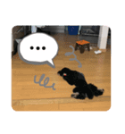うちのルゥ（個別スタンプ：5）