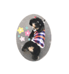うちのルゥ（個別スタンプ：6）