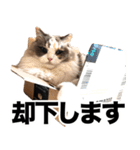 すなぎもちゃんとこむぎこくん（個別スタンプ：2）