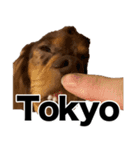 すなぎもちゃんとこむぎこくん（個別スタンプ：4）