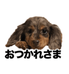 すなぎもちゃんとこむぎこくん（個別スタンプ：6）