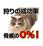 すなぎもちゃんとこむぎこくん（個別スタンプ：7）