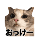 すなぎもちゃんとこむぎこくん（個別スタンプ：8）