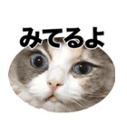 すなぎもちゃんとこむぎこくん（個別スタンプ：9）