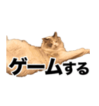 すなぎもちゃんとこむぎこくん（個別スタンプ：10）