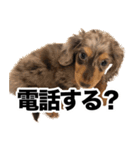 すなぎもちゃんとこむぎこくん（個別スタンプ：15）