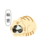 猫のタビッチ！ 猫着ぐるみ猫 (広東語)（個別スタンプ：24）