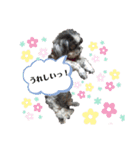 aoshima mei 2（個別スタンプ：2）