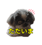 aoshima mei 2（個別スタンプ：5）