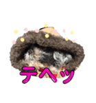 aoshima mei 2（個別スタンプ：8）