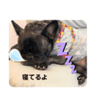 teto好きスタンプ（個別スタンプ：4）