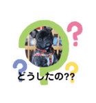 teto好きスタンプ（個別スタンプ：6）