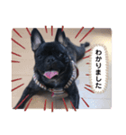 teto好きスタンプ（個別スタンプ：7）
