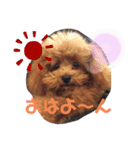 癒され天使ちゃん（個別スタンプ：1）