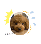 癒され天使ちゃん（個別スタンプ：6）