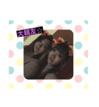 SK's（個別スタンプ：7）