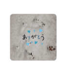 ひなちゃんの日常♡♡（個別スタンプ：9）