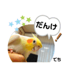 インコのスタンプ《その5》外国語（個別スタンプ：7）