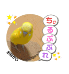 インコのスタンプ《その5》外国語（個別スタンプ：10）