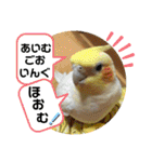 インコのスタンプ《その5》外国語（個別スタンプ：27）