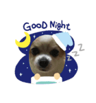 だいごそらりく（個別スタンプ：3）