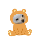 だいごそらりく（個別スタンプ：5）