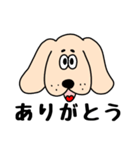 わんだ わんたろうの毎日（個別スタンプ：1）
