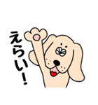 わんだ わんたろうの毎日（個別スタンプ：8）