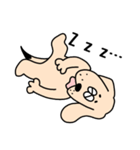 わんだ わんたろうの毎日（個別スタンプ：19）