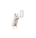 たっくんのゆかいな動物たち（個別スタンプ：1）