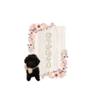たっくんのゆかいな動物たち（個別スタンプ：2）