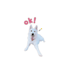 たっくんのゆかいな動物たち（個別スタンプ：3）