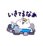 このよをりかいするねこ（個別スタンプ：14）