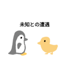 とりのひまつぶし（個別スタンプ：16）