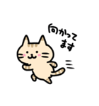 ハチワレハッチとなかまたち（個別スタンプ：34）