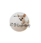 こんにちは、あおくん（個別スタンプ：4）