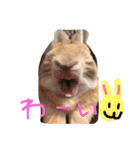 ぼくはこっちゃん（個別スタンプ：18）