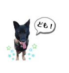どもどもどーも（個別スタンプ：1）