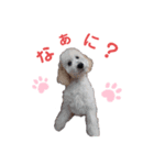 どもどもどーも（個別スタンプ：2）