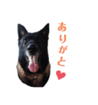 どもどもどーも（個別スタンプ：3）