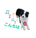 どもどもどーも（個別スタンプ：4）