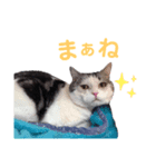 どもどもどーも（個別スタンプ：5）
