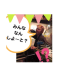 シロースタンプ2（個別スタンプ：15）