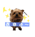蘭丸といちご（個別スタンプ：7）