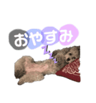 我が家のモフモフpart2（個別スタンプ：7）