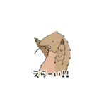 幼獣センザンコウ（個別スタンプ：8）