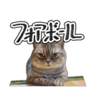 猫と野球観戦（個別スタンプ：7）