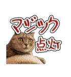 猫と野球観戦（個別スタンプ：39）